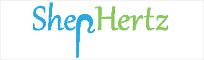 Time code global technologioes it development company in hyderabad